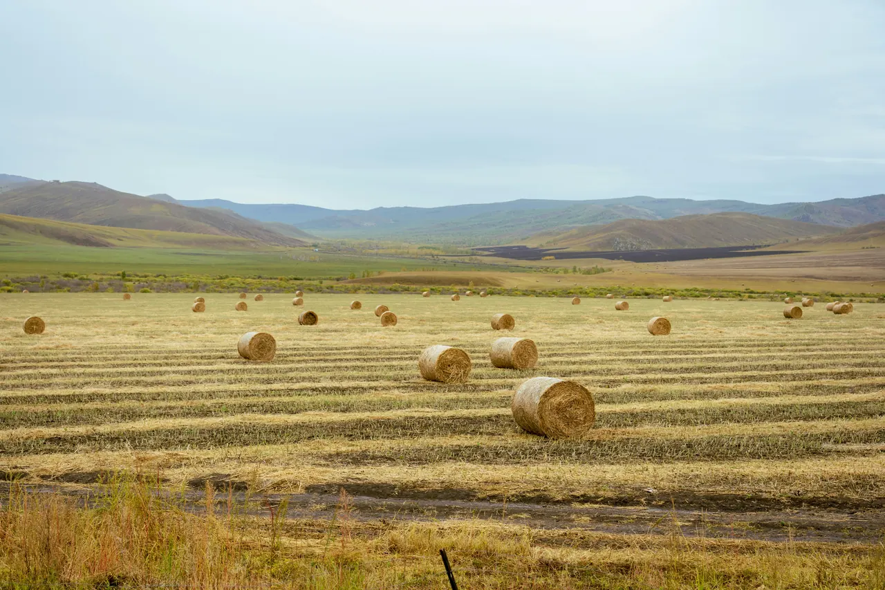 Countryside in Inner Mongolia. Destination setting; specific visits and arrangements depend on the selected programme.