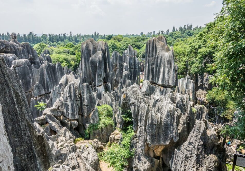 Stone Forest Scenic Area
