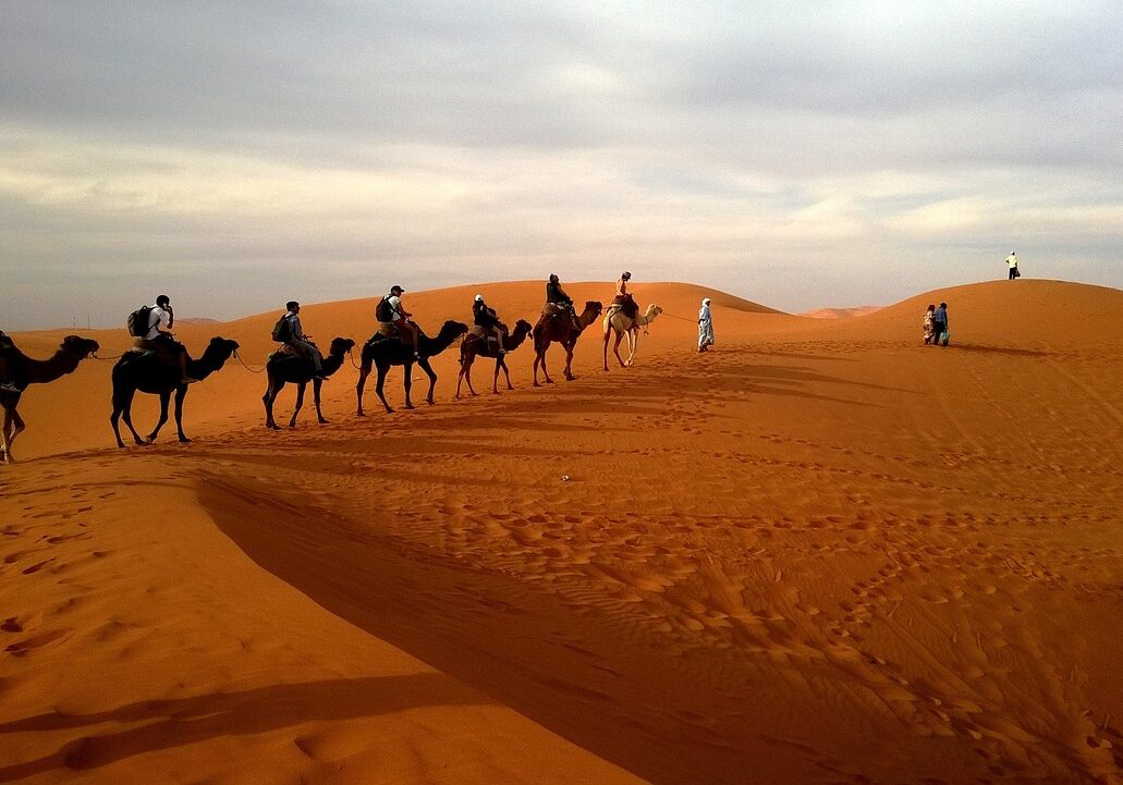 camel riding